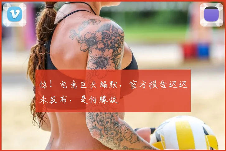 惊!电竞巨头缄默,官方报告迟迟未发布,是何缘故
