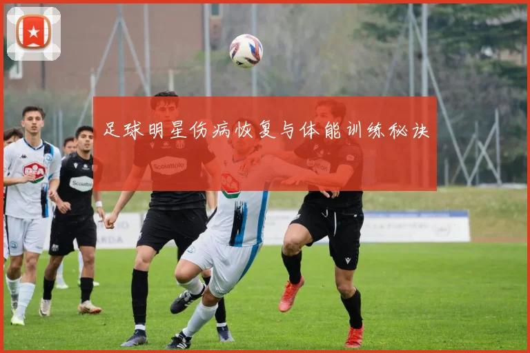 足球明星伤病恢复与体能训练秘诀