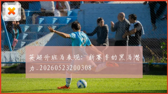 英超升班马表现：新赛季的黑马潜力_20260523200308