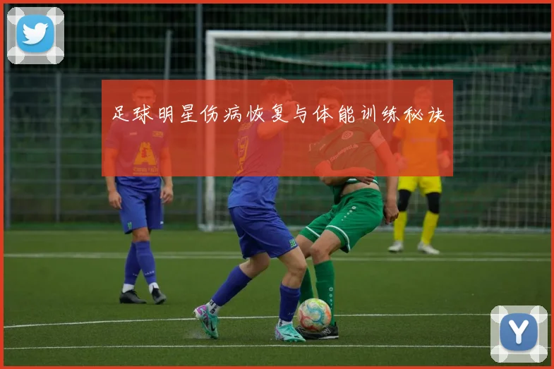 足球明星伤病恢复与体能训练秘诀