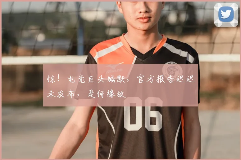 惊！电竞巨头缄默，官方报告迟迟未发布，是何缘故