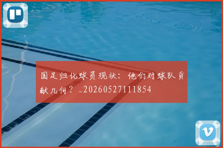 国足归化球员现状：他们对球队贡献几何？_20260527111854